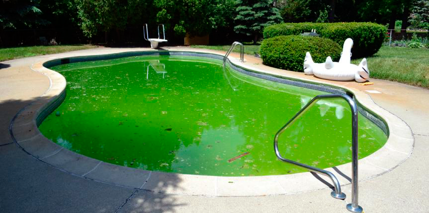 Agua turbia o verde en piscinas.
