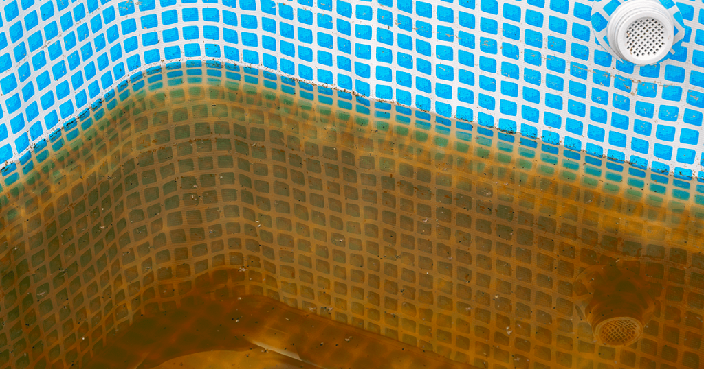 Agua marrón piscina 