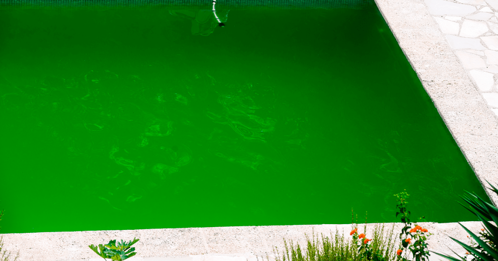 Agua verde piscina 